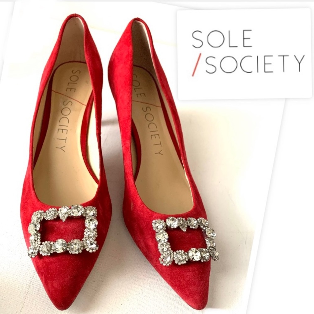 Sole Society Edilina RED Suede Brooch ✨Jeweled Rhinestone Point Toe Pumps Shoes
